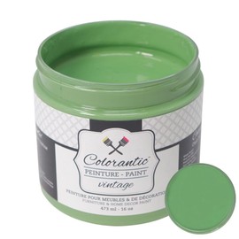 Colorantic | NATURE Chalk Paint Based for Furniture DIY - Multi-Surface Craft Paint | LEAF GREEN Home Decor Painting (8 oz, Nature)