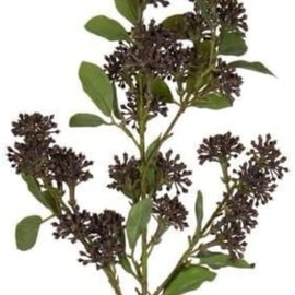 Oakestry 2-Pack Artificial BlackBerry Purple Wild Berry Spray 31 Inch Faux Floral Stems Realistic Fake Flower Sprays for Home Wedding Decor Arrangements Bouquets Table Centerpiece Lifelike Accent