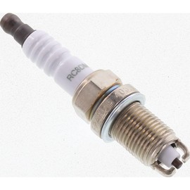 CHAMPION OE026/T10 Multi-Ground Spark Plug, Set of 10