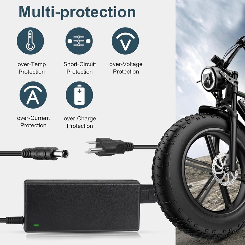 SGS Certified 42V 2A Scooter Charger with 5 Plugs Connections,