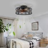 HUEOCZW 20" Caged Ceiling Fan with Light and Remote，Bladeless Ceiling