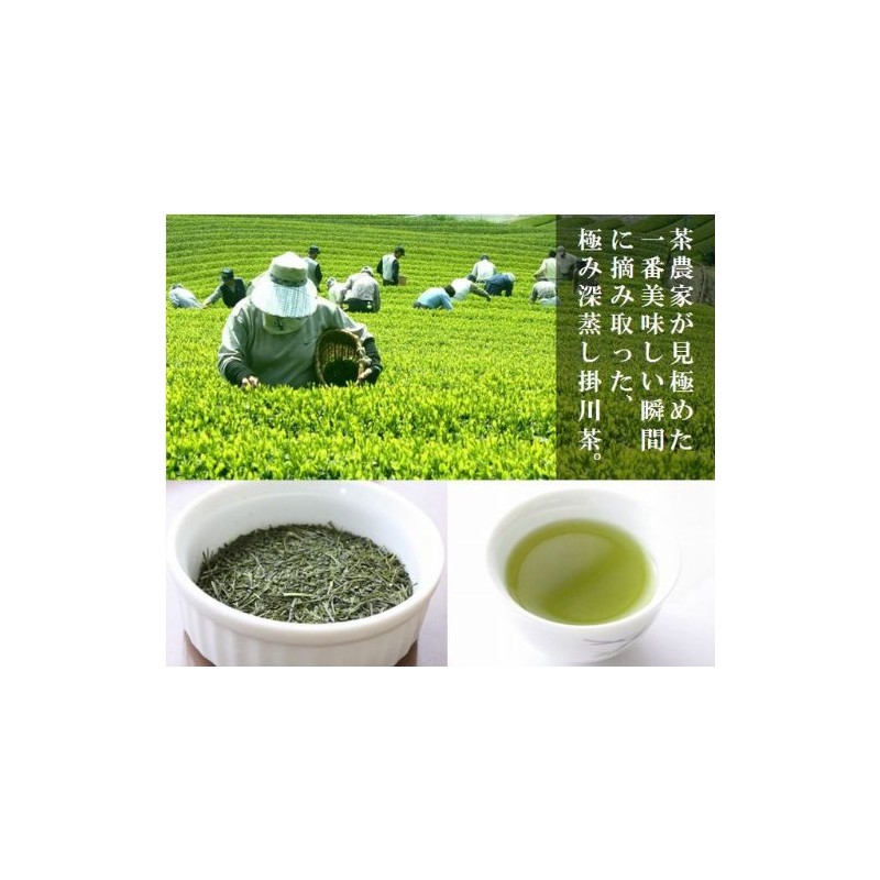 2024 New Tea Deep Steamed Kakegawa Tea (Shizuoka Tea), Tenjo