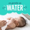 Seventh Generation Baby Wipes, Free & Clear with Flip Top