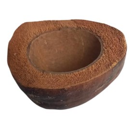 Natunae - Natural Coconut Bowl for Reptiles, Terrarium Accessory, Food and Water Container