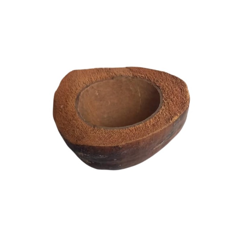 Natunae - Natural Coconut Bowl for Reptiles, Terrarium Accessory, Food