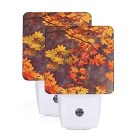 Dewoofly Autumn Maple Leaves Fall Night Light Set of 2 Auto Sensor LED Dusk-to-Dawn Nightlights Plug-in Sensor Lamp for Bedroom Bathroom Kitchen Hallway Stairs Decorative