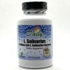Daily Manufacturing L-Salivarius (Probiotic) 120 Delayed-Release Capsules