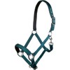HKM Charming Headcollar B5801 Smoke Green Cold Blood