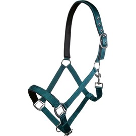 HKM Charming Headcollar B5801 Smoke Green Cold Blood
