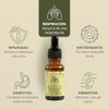 ORE Aceite de Orégano Natural, 20 ml, Pack de 3
