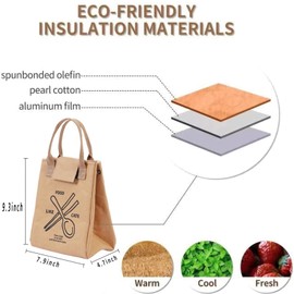 Lunch Box Insulated, Leak-Proof Adult Lunch Boxes, Insulated Lunch Bag Cooler Tote Bag for Men/Women/Kids, Water-Resistant Dupont Paper Cooler Bag for Work, Camping, Picnic Easy to Carry with Handle