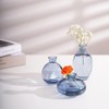 ATDORO 3 Pcs Mini Bud Vases, Clear Bud Vases for