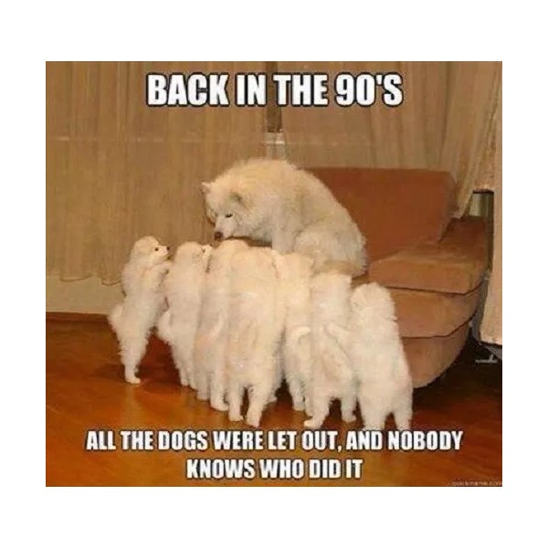 Funny Samoyed dog refrigerator magnet 3 1/2 X 4 1/2