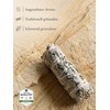 rooted. | The Original | White Sage | 3 Bundles