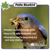 Backyard Essentials Petite Bluebird Feeder with Plexiglass Roof and Powder
