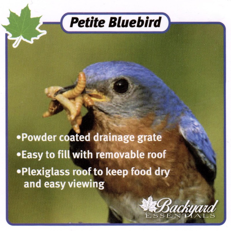 Backyard Essentials Petite Bluebird Feeder with Plexiglass Roof and Powder