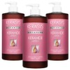 Kerasis Keramide Extreme Damage Clinic Shampoo, 1L, 3 packs / 케라시스 케라마이드 극손상 클리닉 샴푸, 1L, 3개