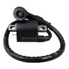 BIKER BOOST Bobina De Encendido Para Motocarro Envío Gratis