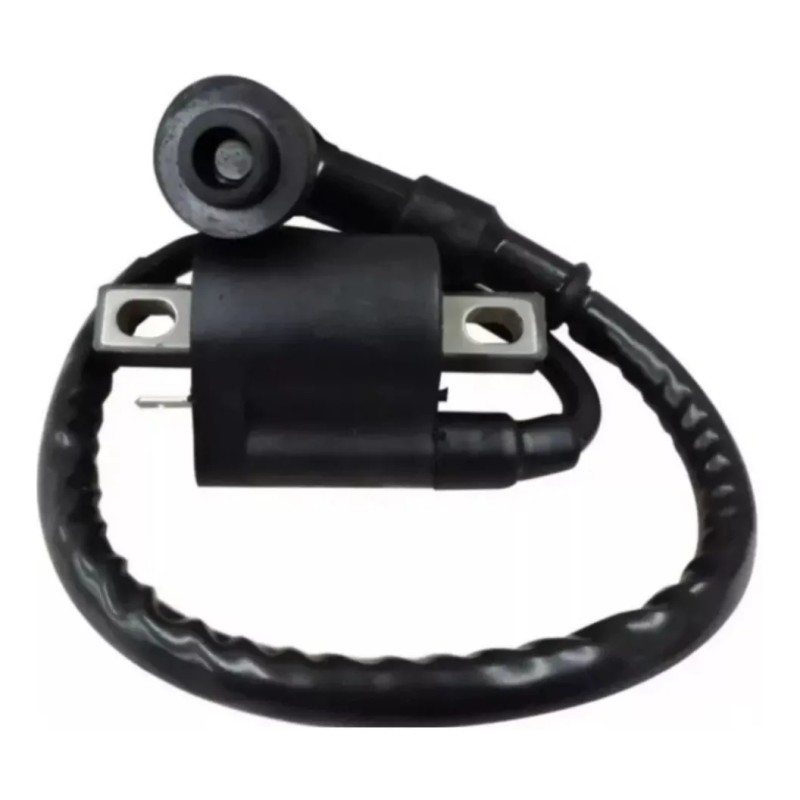 BIKER BOOST Bobina De Encendido Para Motocarro Envío Gratis