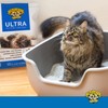 Dr. Elsey's Ultra UnScented Clumping Clay Cat Litter 40 lb.