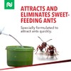 Dominant 1% Liquid Ant Bait, Borax-Based Formula, Attracts and eliminates