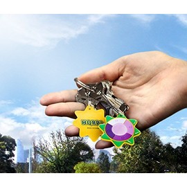 HQRP Professional 9 LED 365 nM Wavelength UV Ultraviolet Blacklight Flashlight plus Sun Meter