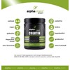 Creatine Monohydrate Powder – 500 g Tin Best Creatine (Mesh