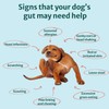 DogSuppy DogSuppy Itch Relief Probiotics For Dogs - Stop Itching,