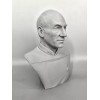 Star Trek The Next Generation Jean Luc Picard 3D Printed