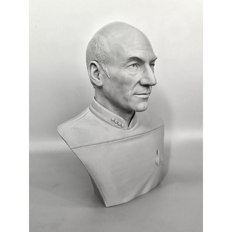Star Trek The Next Generation Jean Luc Picard 3D Printed