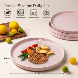AmorArc Ceramic Dinner Plates Set of 6, 10.25 Inch Stoneware Plates for Kitchen,Modern Flat Dinnerware Dishes Set,Microwave& Dishwasher Safe, Scratch Resistant-Pink