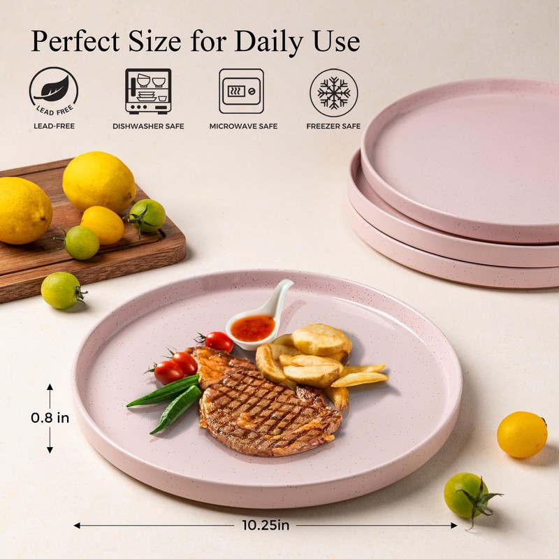 AmorArc Ceramic Dinner Plates Set of 6, 10.25 Inch Stoneware