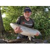 Tandem Baits Carp Food Mini Boosted Hookers Flavour Mix No.
