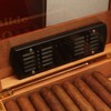 TISFA Cigar Humidifier, Cigar humidor humidifiers, Black Cuboid Humidor Humidifier