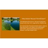 Neusol PondClean - Preventive Biological Treatment for Ponds, Lakes and