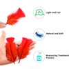 Soarer Red Turkey Feathers - 300pcs 3-5inch Feathers for Kindergarten