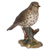 Vivid Arts Garden Birds (Song Thrush)