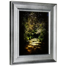 Craig Frames 97546 11 by 14-Inch Picture Frame, Smooth Wrap Finish, 2-Inch Wide, Distressed Monza Silver