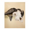 Skull Hooker Big Hooker Powder-Coated Steel Short Arm Trophy Mount