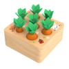 NIWWIN NIVIN Educational Carrots Harvest Wooden Toddler Toy Sorting Game