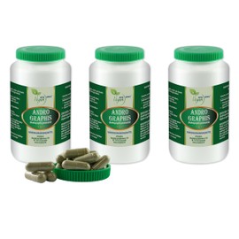 VITA IDEAL Vegan® Andrographis Herb 3 x 360 Capsules - Chiretta Herb - Daily Serving 800 mg Chirettta Herb Pure Powder Natural, Vegetable and No Additives