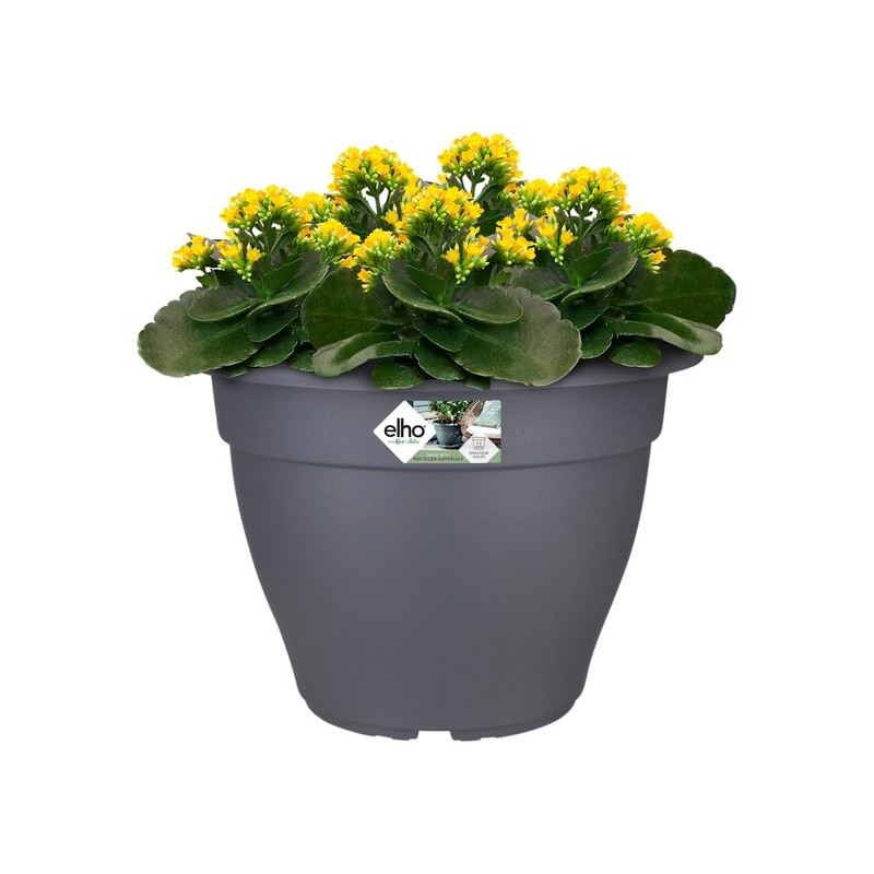 elho Torino Campana 25 cm - Black/Anthracite