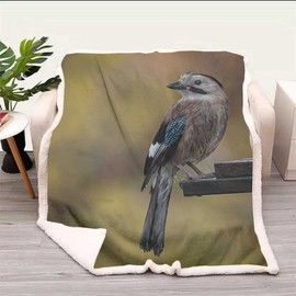 Mockingbird Bird Songbird Animal Fluffy Blankets Outdoor Blanket Soft, Plush, Fluffy, for Coquette Room Decor Baby Size 39In x 47In
