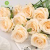 Alecono 𝟮𝟬𝙋𝙘𝙨 Fake Roses, 4in 𝘽𝙞𝙜 𝗩𝗲𝗹𝘃𝗲𝘁 Flower Head Champagne