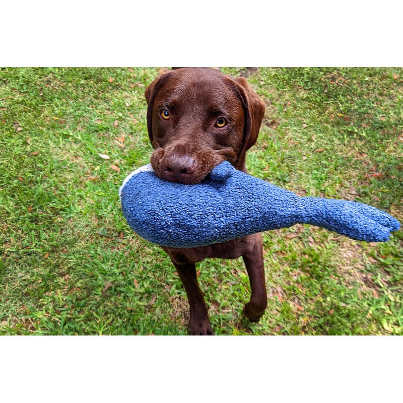 Rosewood Tufflove Whale Medium, Tough Dog Toy, For to Large