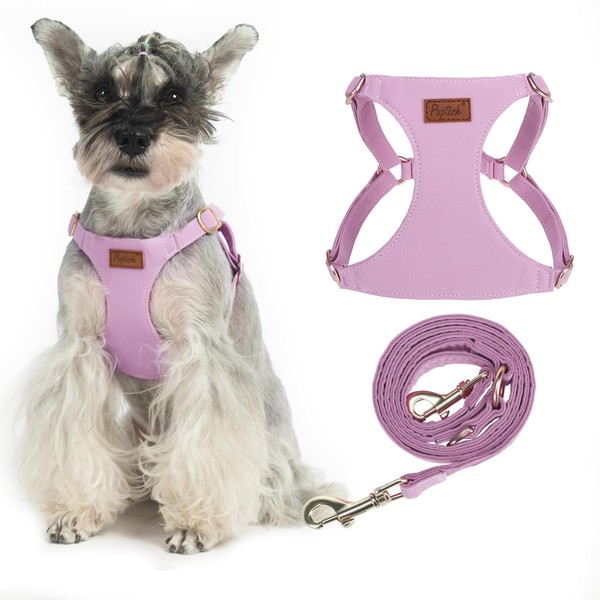 PUPTECK Dog Harness and Leash Set Small Sized, Step-in Cute