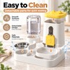 Automatic Cat Feeder and Water Dispenser for Daily Feeding –