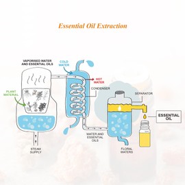 Mumianhua Myrrh Essential Oil 100% Pure Earthy Balsamic Aroma Natural Myrrh Oil for Diffuser, DIY Skincare, Wrinkle, Hair, Beard Oil & Candle Making,Office Wellness 0.33 Fl Oz