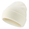 Decentron Classic Men's Warm Winter Hats Thick Knit Cuff Beanie