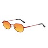 ZENOTTIC Mini Cool Octagonal Sunglasses Women Men Polarised Metal Frame